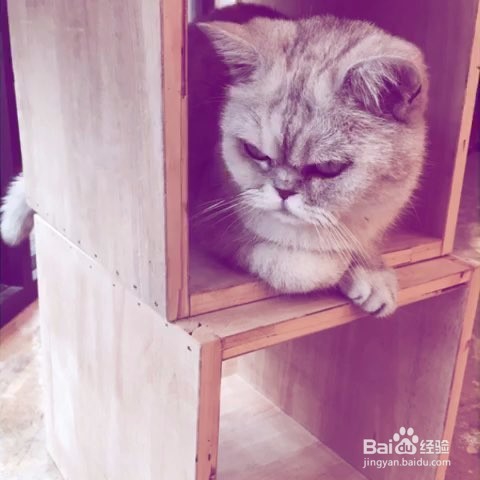 2017怎么对自己