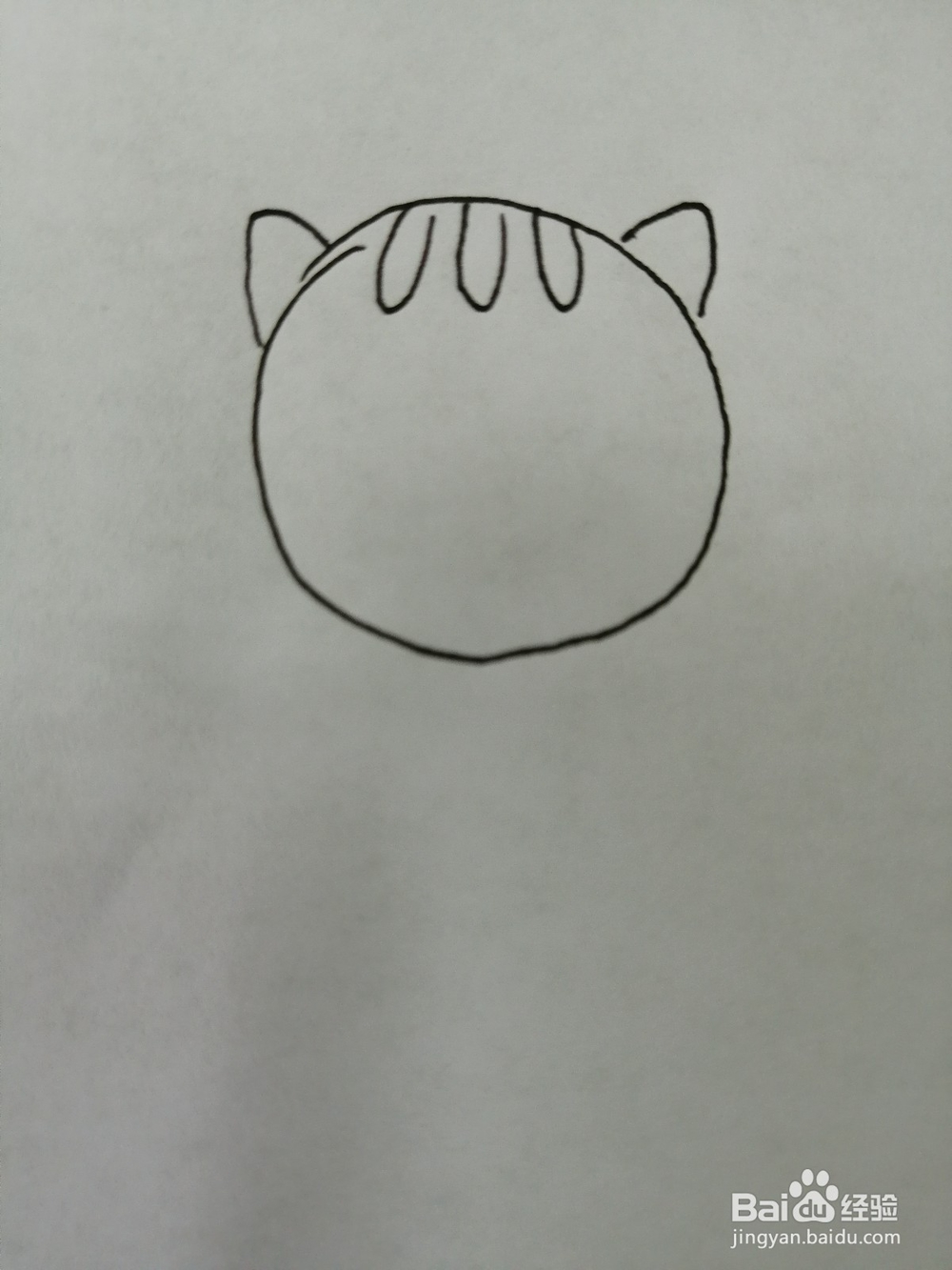 爱吃鱼的小猫咪怎么画