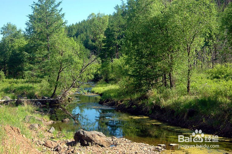 诺门罕战役游，翻开历史的故纸记录