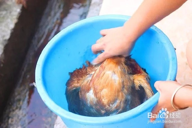 这菜城里吃不到,现宰现做40分钟上桌