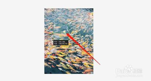 笔记本电脑怎样截屏按哪个键