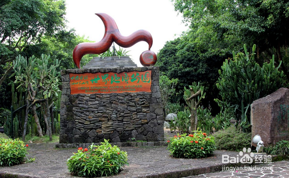 畅玩美丽椰城海口