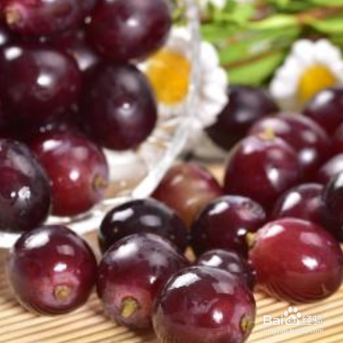 葡萄如何保鲜储存