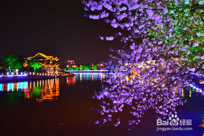春天怎么选择合适的旅游景点