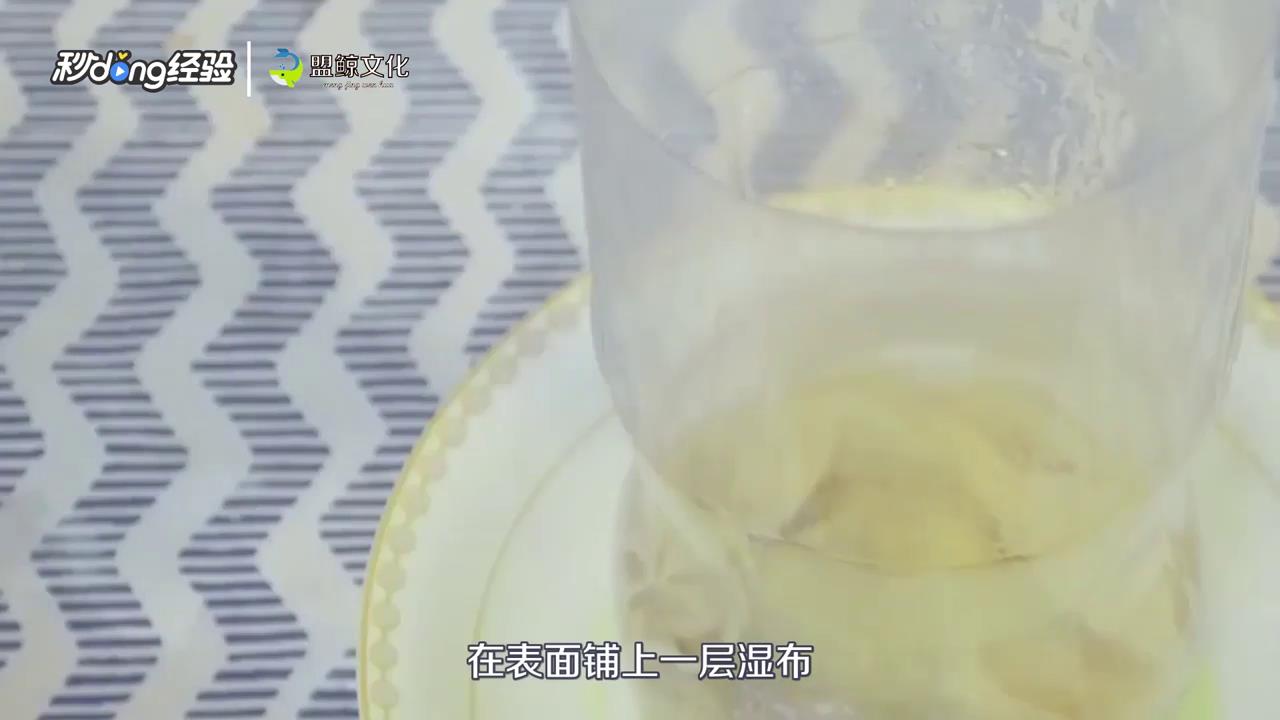 可乐瓶生豆芽的方法