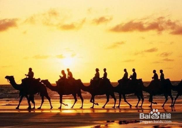 高三文综学习方法