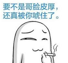 越南游第一篇准备工作