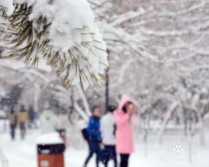 为什么天冷的时候手机会自动关机