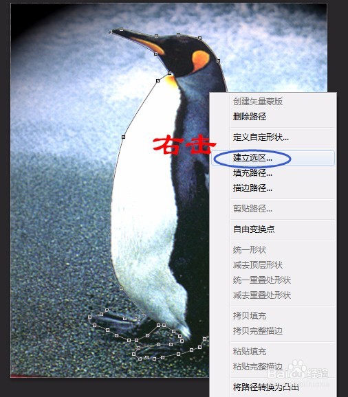 PS实例:抠图方法、技巧集合(二)