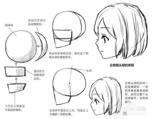 怎麼畫人物頭部結構?