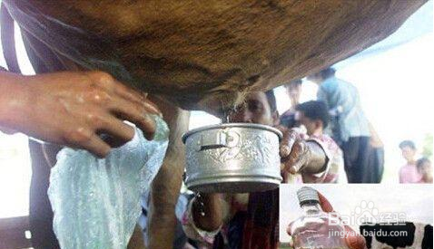 令人发指的黑暗界饮料有哪些？