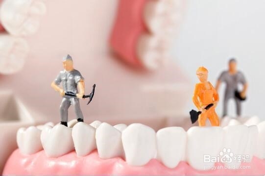牙齿松动治疗方法
