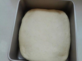 椰蓉水果面包怎么做？