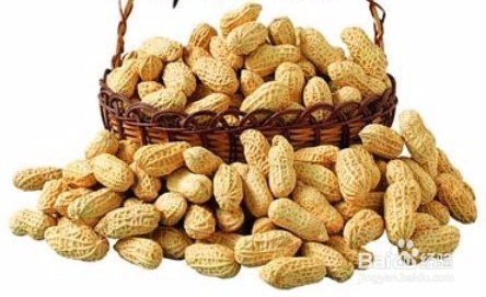 花生的小知识