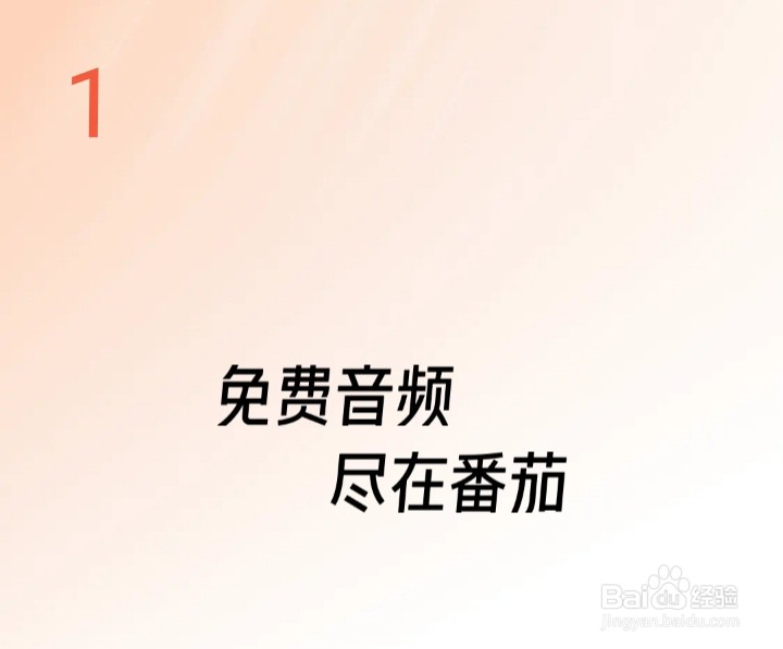 番茄畅听邀请码怎么输入？