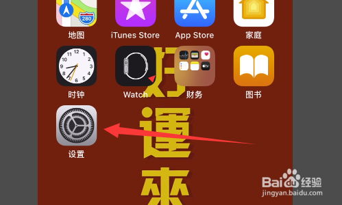 iPhone11如何开启低数据模式?