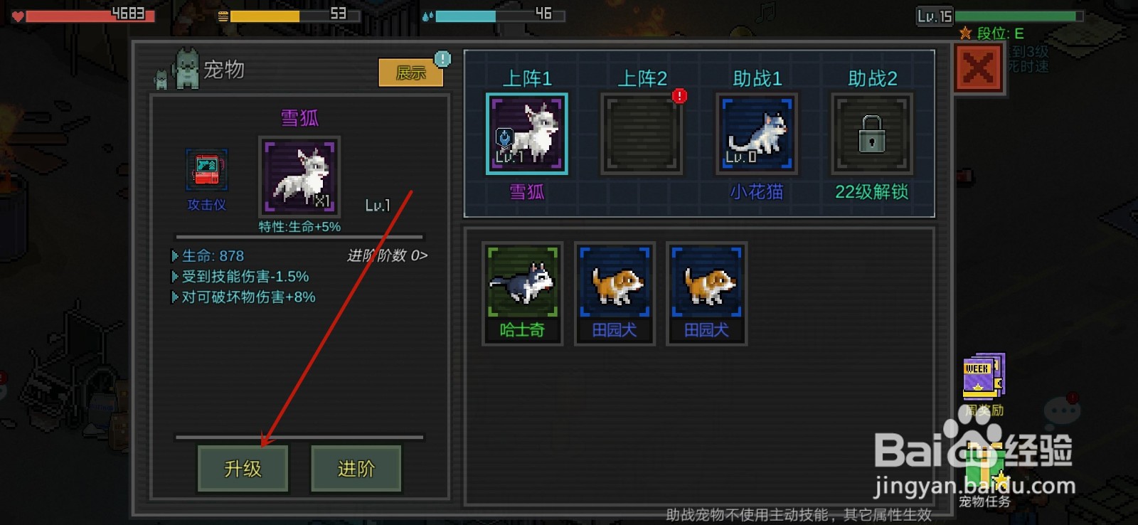 像素危城怎么升级宠物