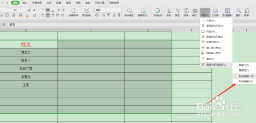 WPS表格如何隐藏特定的单元格?