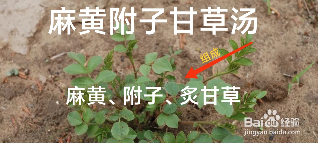 麻黄附子甘草汤