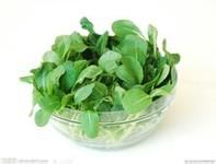 什么饮食可使孩子变聪明