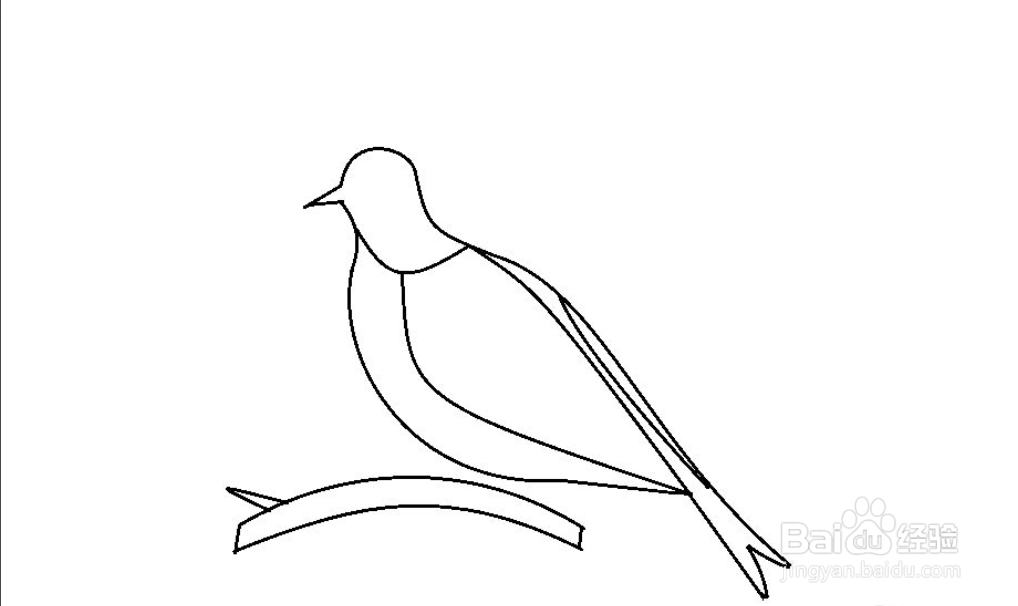 怎么简单画五彩鸟