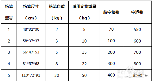 宠物托运的流程是什么