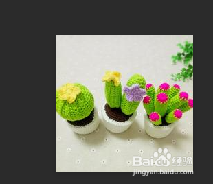 钩针盆栽仙人球盆栽教程