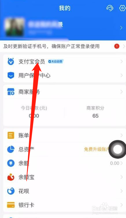 支付宝积分如何查看