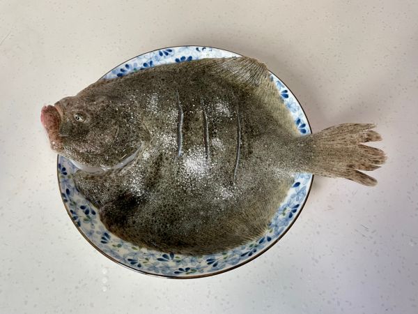 清蒸葱油多宝鱼