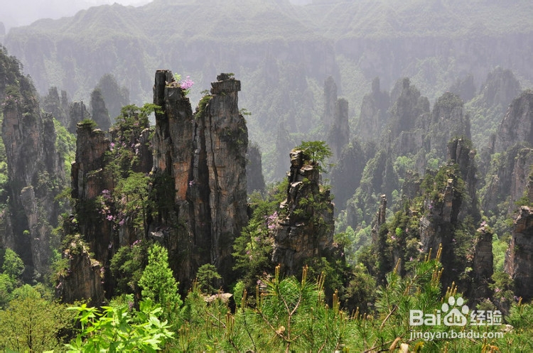宝鸡到张家界自驾游