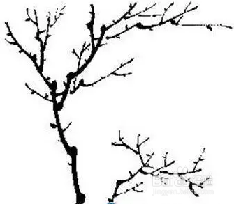 国画梅花的画法攻略