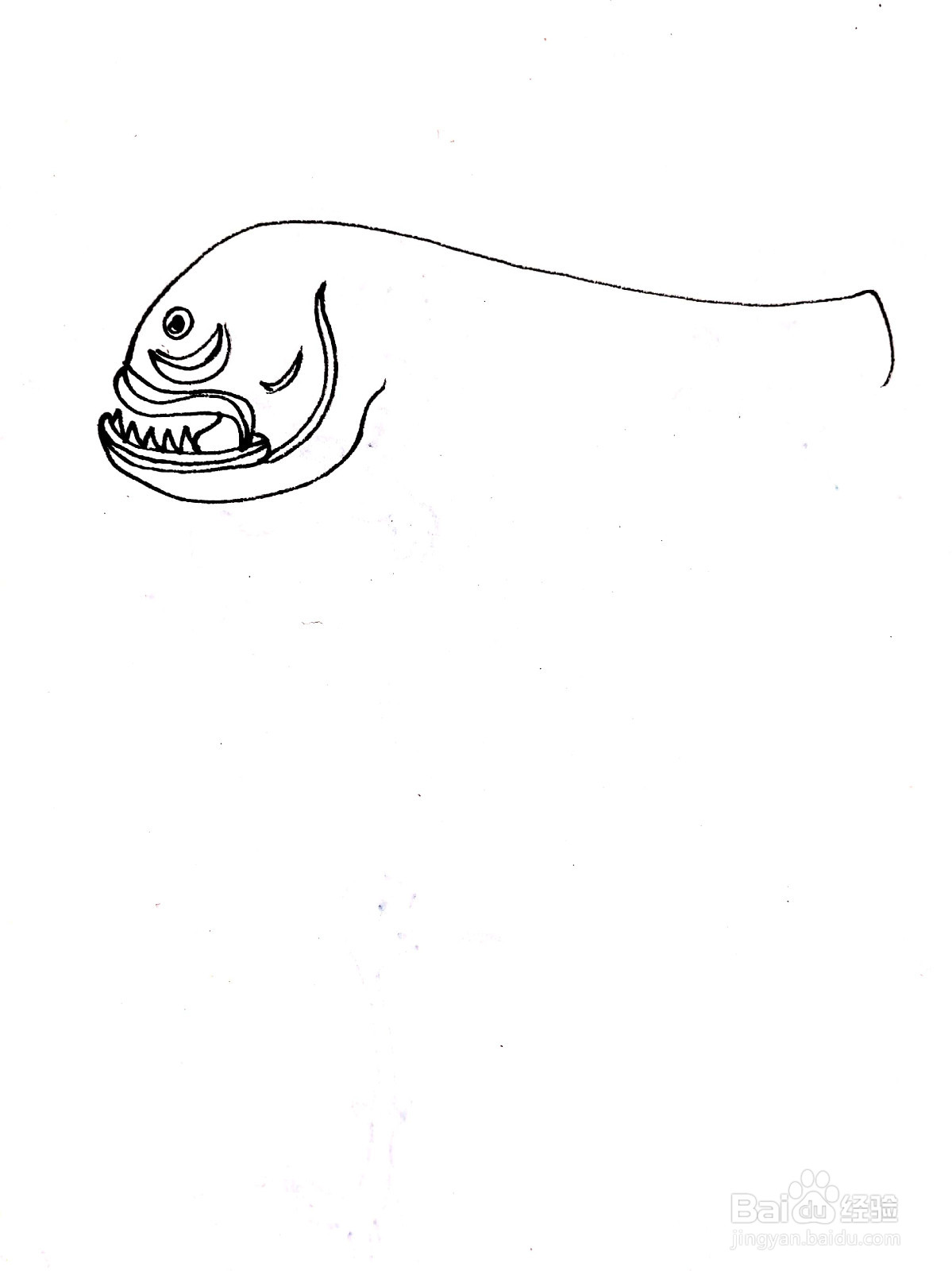 昂刺鱼线描画怎么画