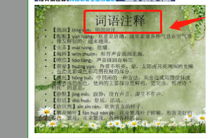 补习语文哪里好