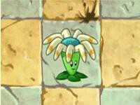 植物大战僵尸——进阶植物的建议(初期篇)