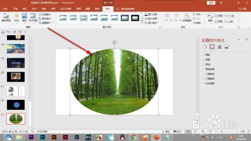 PPT如何将图片裁剪为形状?