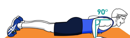 钻石俯卧撑的正确做法