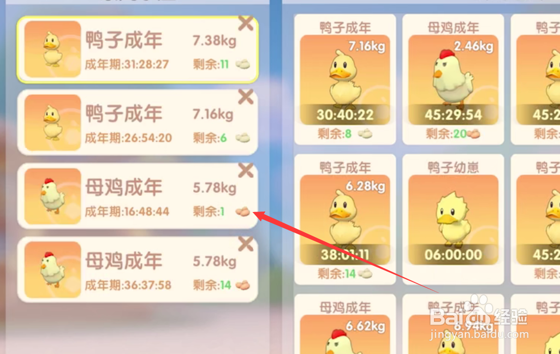 摩尔庄园手游怎么快速获得鸡蛋