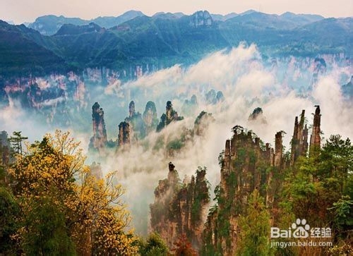 张家界自助游俱乐部