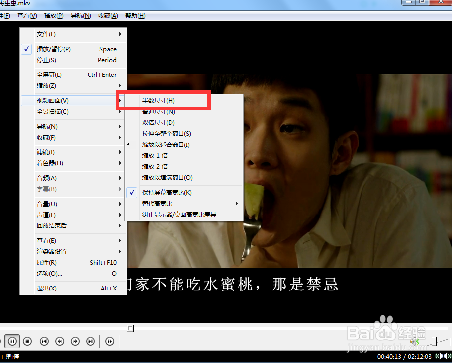 怎么使用spoonplayer的半数尺寸功能