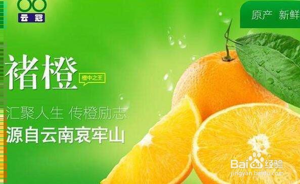 脐橙怎么挑，怎么样挑选脐橙