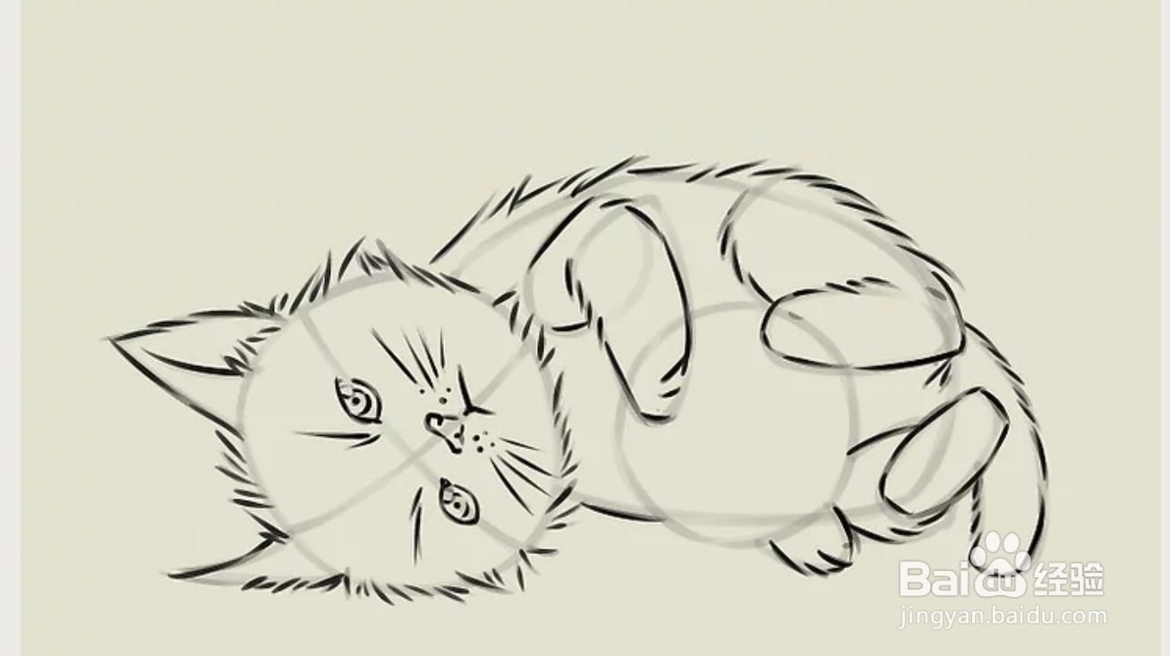 如何简单的画猫咪