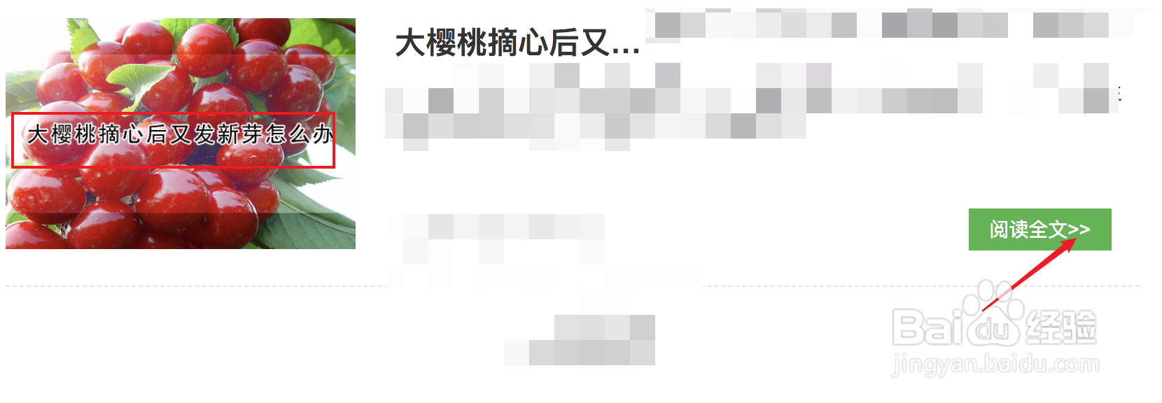 大樱桃摘心后又发新芽怎么办