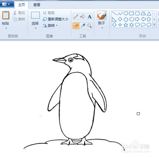 用电脑画企鹅简笔画