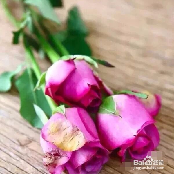 鲜花怎么养护会活得长一点