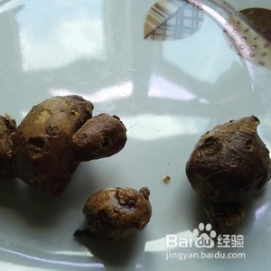 广东白切猪手做法