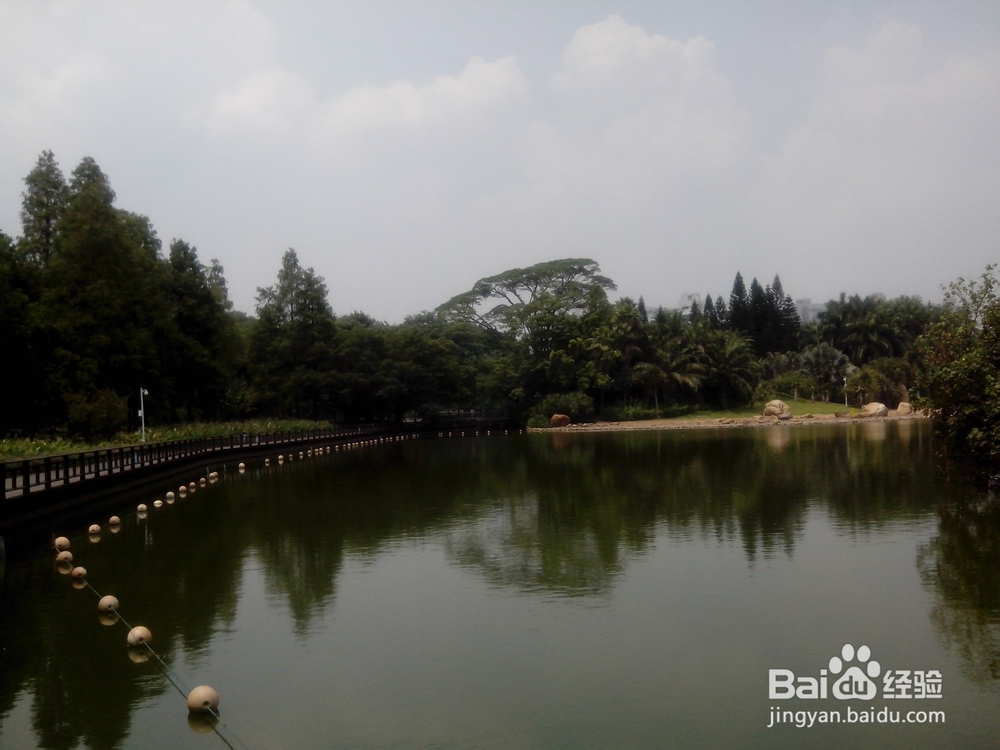 如何在朋友圈假装你有iPhone6