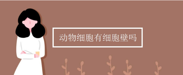 而构成动物体的细胞都有什么细胞壁