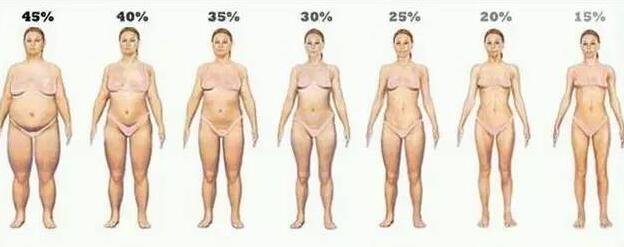 bmi指数正常的女生的健身计划