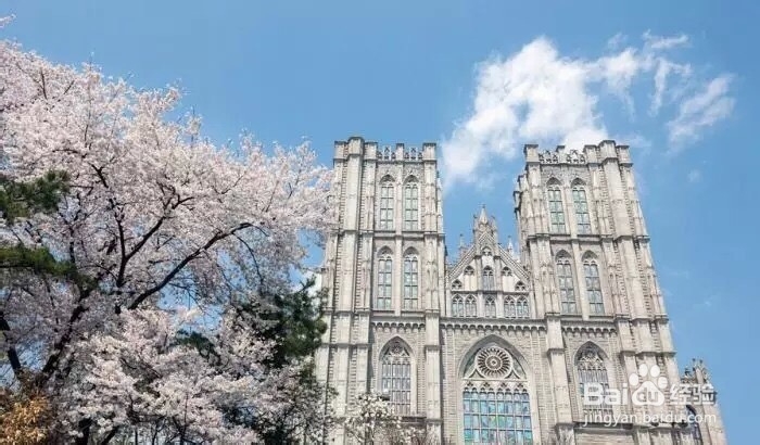 韩国十大美丽大学
