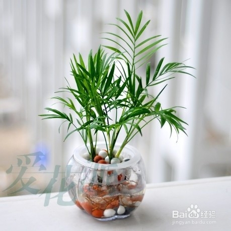 如何缓解空调房里的干燥症